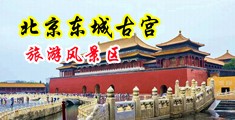 操妇视频中国北京-东城古宫旅游风景区